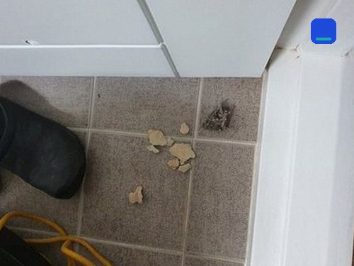 아파트 변기 배수관 정비 중원구 하수구막힘 아파트 변기 배수관 정비